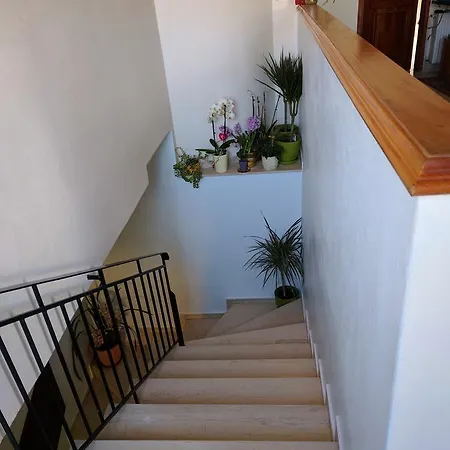 Appartement Rayon De Soleil *