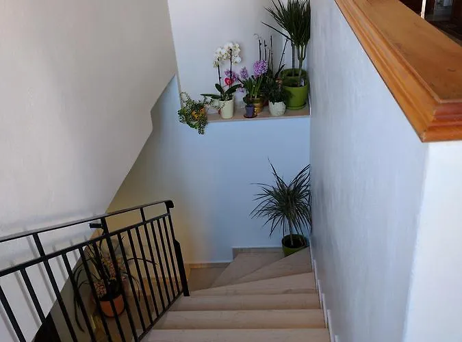 Apartment Rayon De Soleil *